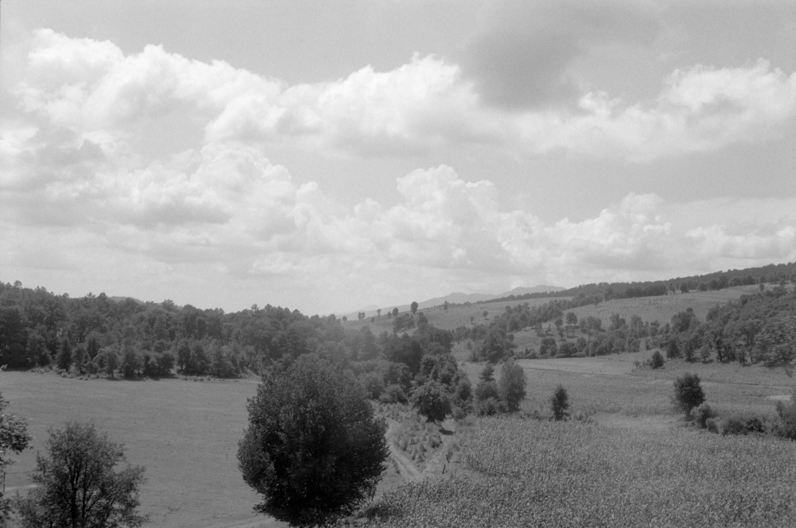 AHP FilmScan 240807 0450